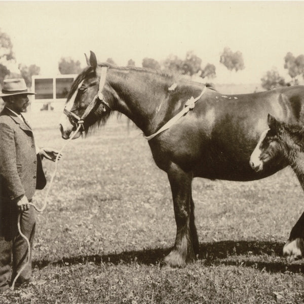 Arthur's Reserve