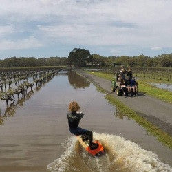 wakeboarding in the vineyard!