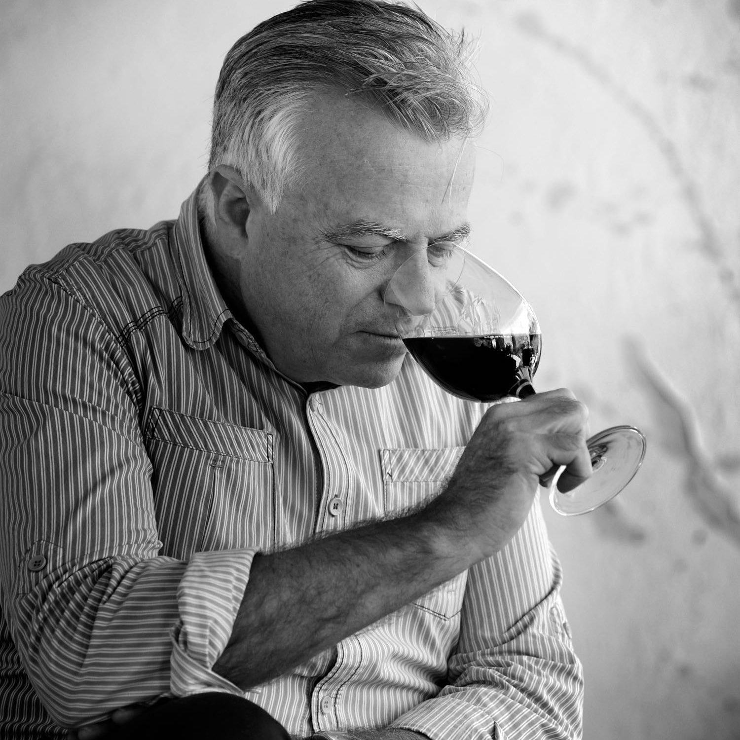 2019 Cabernet