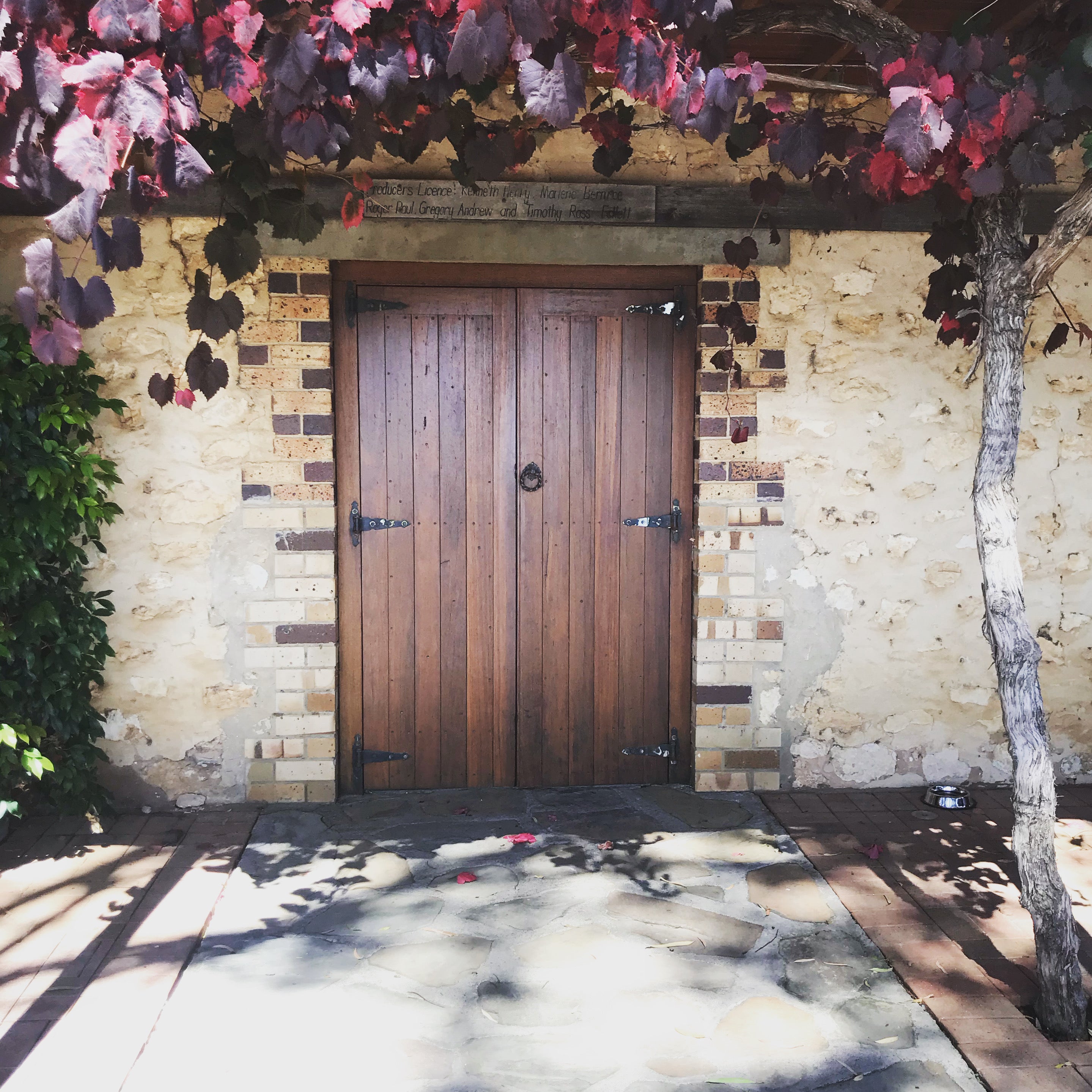cellar door temporarily closed
