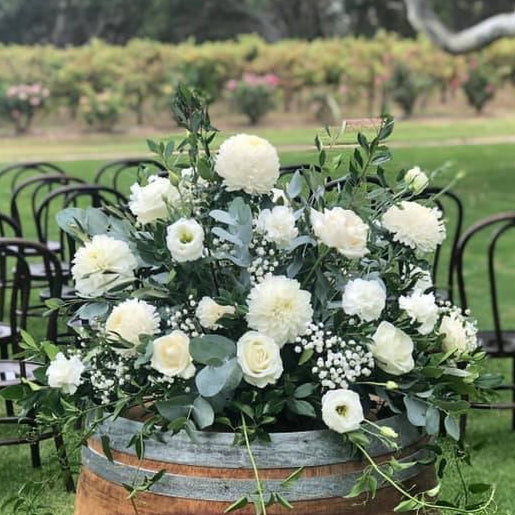 cellar door open sat apr 6  |  10-4