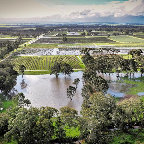 floodwater!