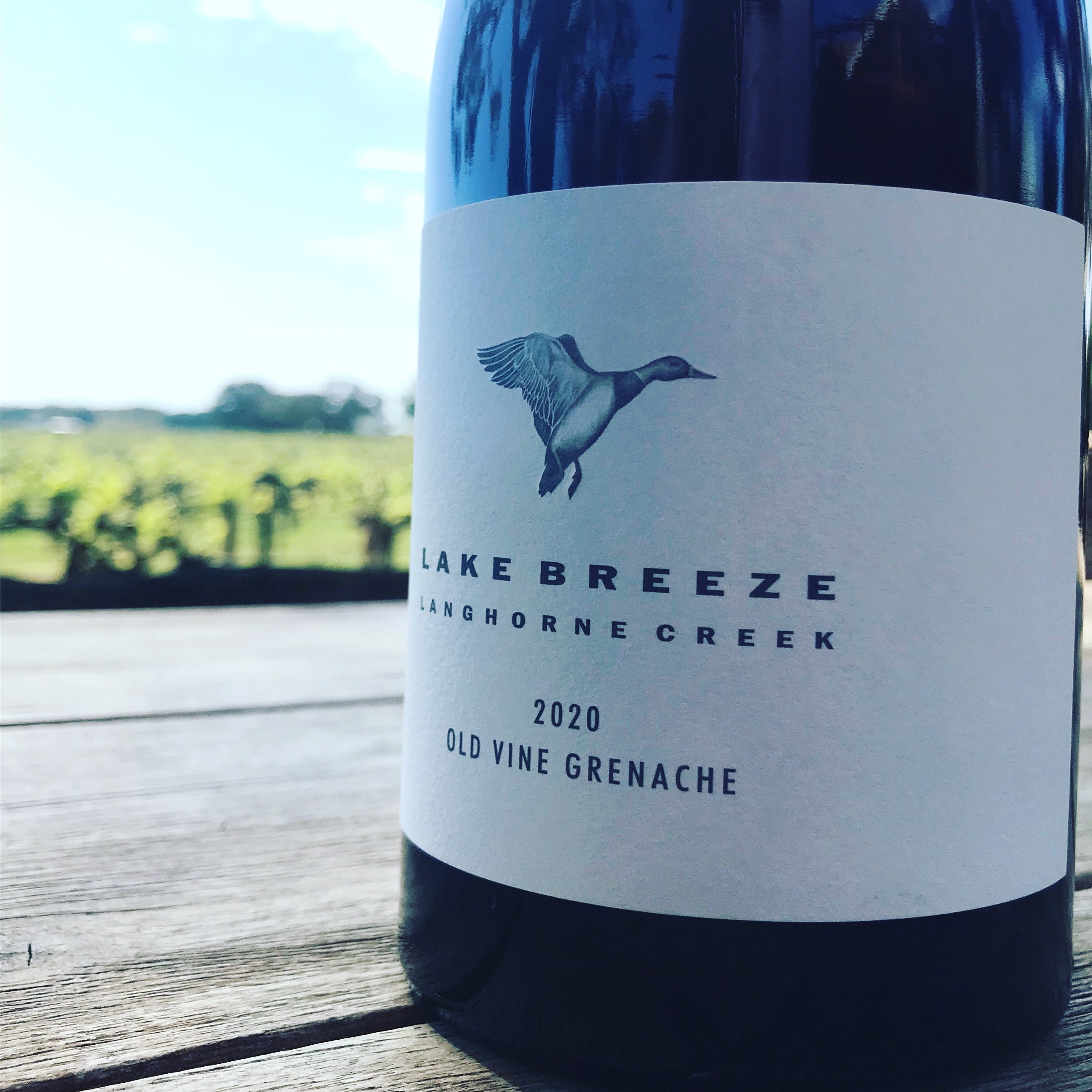 happy grenache day