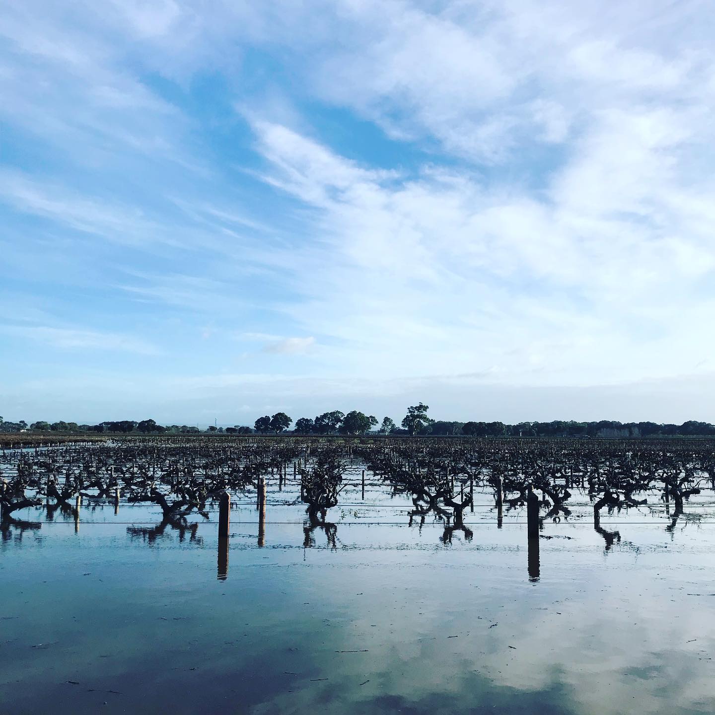 flood waters