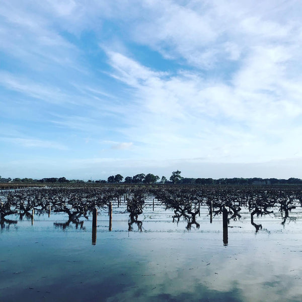 flood waters