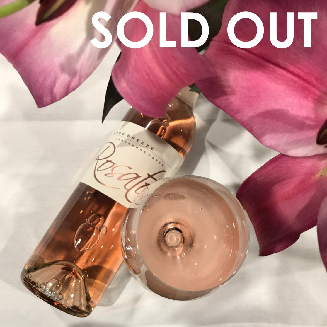rosato  |   sold out