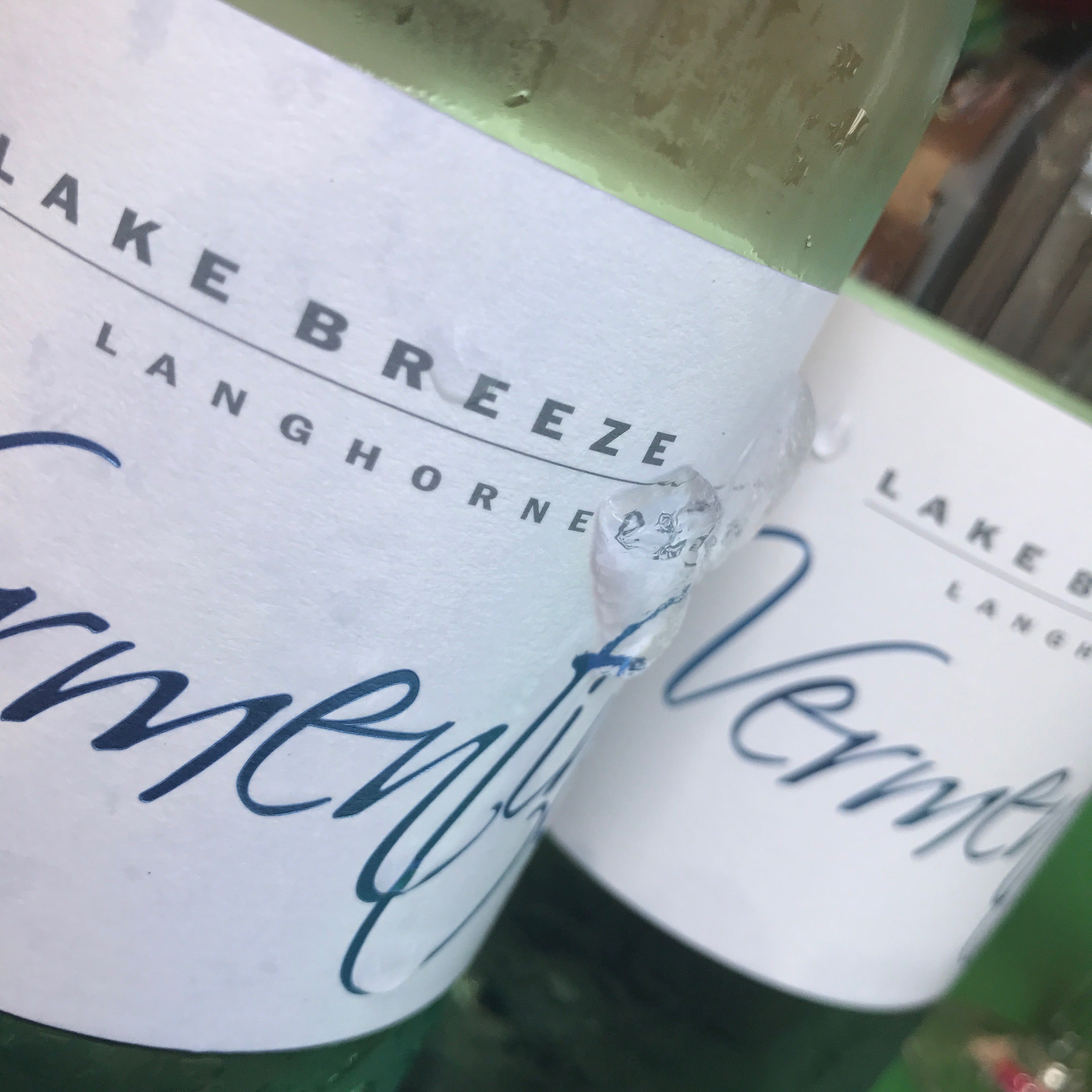 new release Vermentino